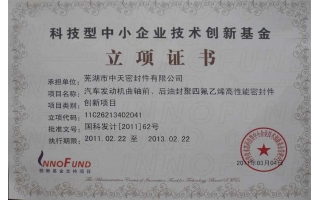 科技型中小企業(yè)技術(shù)創(chuàng)新基金立項證書